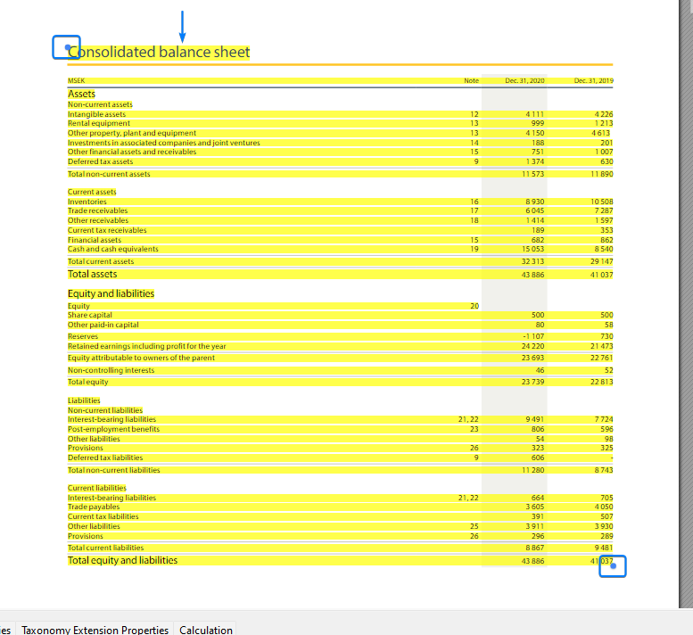 AMANA.XBRL.Tagger.CtrlPrint_cPRIaVxs9I.png