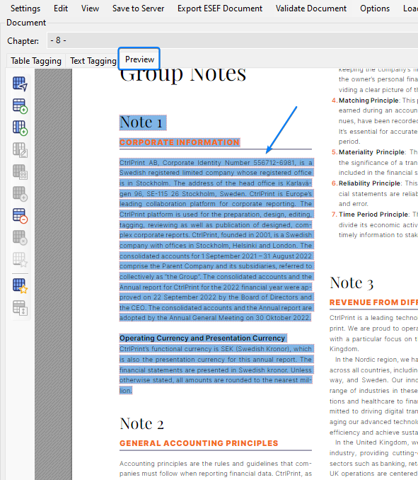 AMANA.XBRL.Tagger.CtrlPrint_SeeZYuump5.png