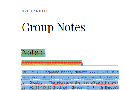 AMANA.XBRL.Tagger.CtrlPrint_Noxido8jt4.png